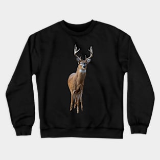 Buck Crewneck Sweatshirt